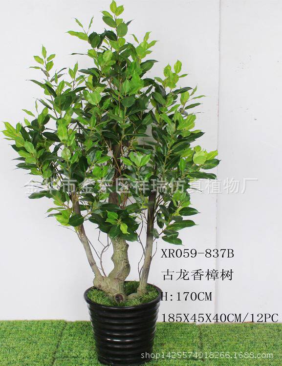 过胶香樟叶假树1.7米香樟树叶落地盆景客厅店铺商场装饰摆设