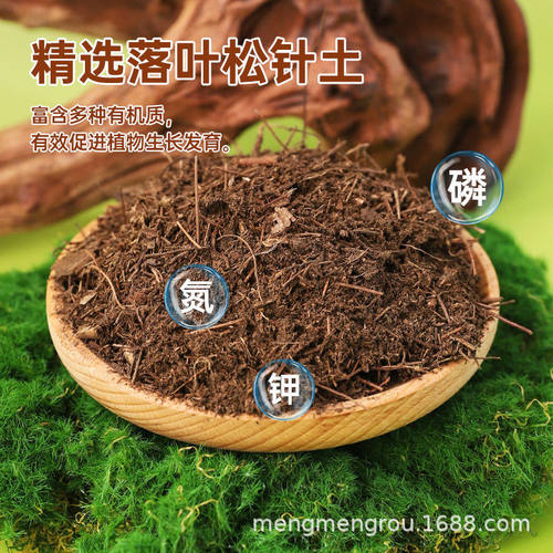 腐熟松针土腐叶土盆栽君子兰花专用土养花种菜通用发酵有机营养土