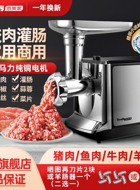 Tenfly添美家电动绞肉机家用商用肠自动新多功能小型绞馅灌香肠腊