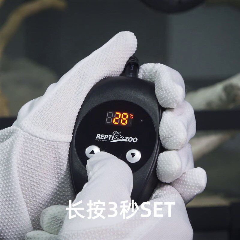 新派宠物爬虫温控加热垫爬宠箱保温乌龟蜥蜴守宫蛇角蛙仓鼠恒温垫,宠物/宠物食品及用品,爬宠缸/箱,淘宝优惠券,粉丝福利购,淘宝优惠卷