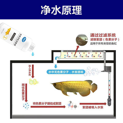 奇罗芬鱼缸净水剂5瓶一滴清水立清净化水质杀菌培菌养水分解粪便
