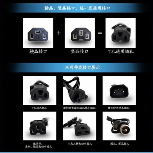 电动车充电器48V60V72V12ah/20ah台翔踏浪狮龙凯骑锡特路基亚永久