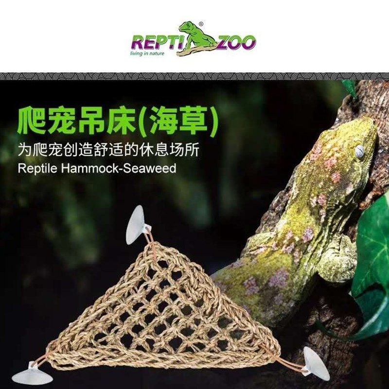 寄居蟹爬宠吊床天然手工艺术品变色龙睫角守宫饲养箱造景树栖爬虫,宠物/宠物食品及用品,蟹,淘宝优惠券,粉丝福利购,淘宝优惠卷