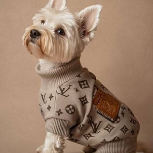 时尚潮牌新款宠物毛衣中小型犬泰迪博美雪纳瑞奢华狗狗衣服毛衣