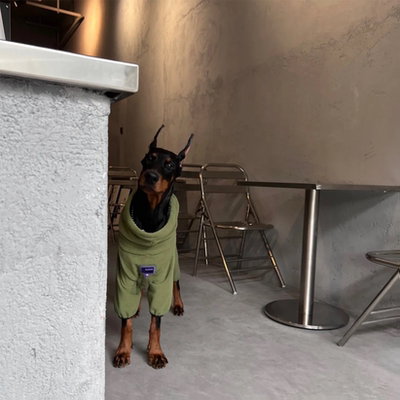 狗衣服冬季保暖加厚萨摩耶金毛哈士奇秋冬网红中大型犬狗狗四脚衣