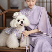 透气轻薄泰迪优雅新款 宠物夏季 国风连衣裙狗狗裙子春夏薄款 旗袍