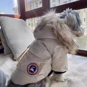 秋冬狗狗衣服防寒保暖可爱雪纳瑞比熊柴犬约克夏马尔济斯毛领棉衣