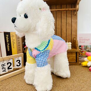 宠物狗狗衣服春秋款 泰迪猫咪比熊撞色幼犬撞色衬衣网红超萌 薄款