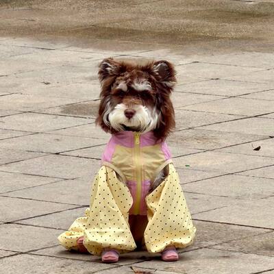 狗狗四脚防尘裤防脏春夏薄款四脚裤腿裤比熊泰迪防虫狗腿衣服洋气