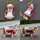 宠物衣服春夏超轻薄柯基法斗衣服宠物衣服女仆裙蝴蝶结公主风裙子