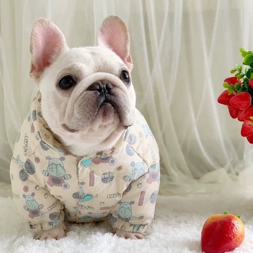 法斗衣服厚款冬装加厚夹棉巴哥犬衣服斗牛犬胖狗棉服充棉冬季