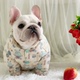 加厚夹棉巴哥犬衣服斗牛犬胖狗棉服充棉冬季 法斗衣服厚款 冬装