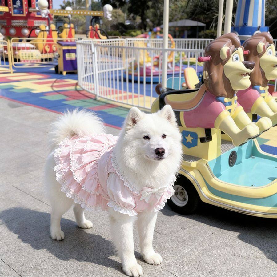 狗狗衣服中大型犬裙子春秋舒适防掉毛夏装可爱公主裙网红狗狗裙子
