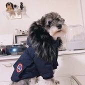 秋冬狗狗衣服防寒保暖可爱雪纳瑞比熊柴犬约克夏马尔济斯毛领棉衣