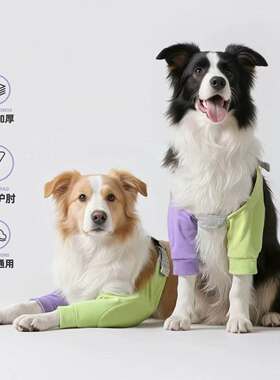宠物狗狗护肘衣加厚关节保护套大型犬护膝防脏神器宠物四季通用