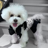 宠物夏季 碎花连衣裙狗狗裙子衣服春夏薄款 透气网红泰迪比熊春游