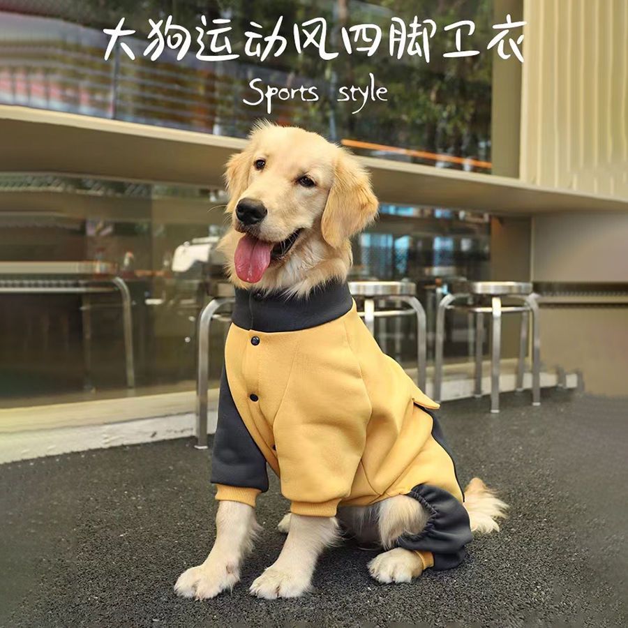大狗狗衣服秋冬款中大型犬金毛边牧拉布拉多巨贵犬时尚帅气四脚衣