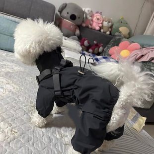 新款 洋气小狗帅气可牵引狗狗超萌宠物专用户外防风外出衣服冲锋衣