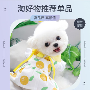 狗狗衣服春秋超薄公主裙贵宾比熊宠物猫咪小型犬博美夏季 泰迪裙子