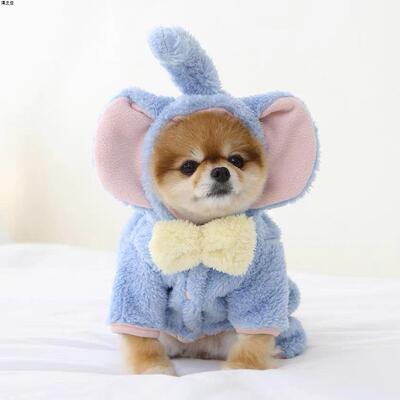 秋冬款韩潮小飞象冬洋气加绒衣服