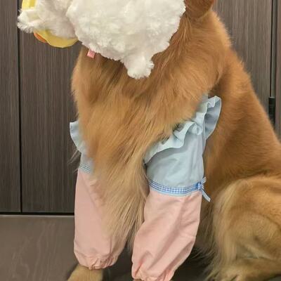 宠物狗狗专用护腿衣金毛边牧中大型犬防舔防磨前腿秋季保护套薄款