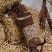 洋气防寒卡通腊肠犬冬季 毛衣秋冬宠物背心衣服毛衣冬天保暖泰迪