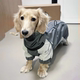 防寒腊肠犬宠物衣服秋冬冲锋衣猫咪比熊约克夏马尔济斯柯基中小型