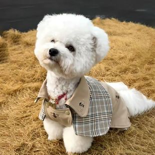 宠物狗狗猫咪秋冬英伦斗篷一体式外套绅士披风中小型犬雪纳瑞