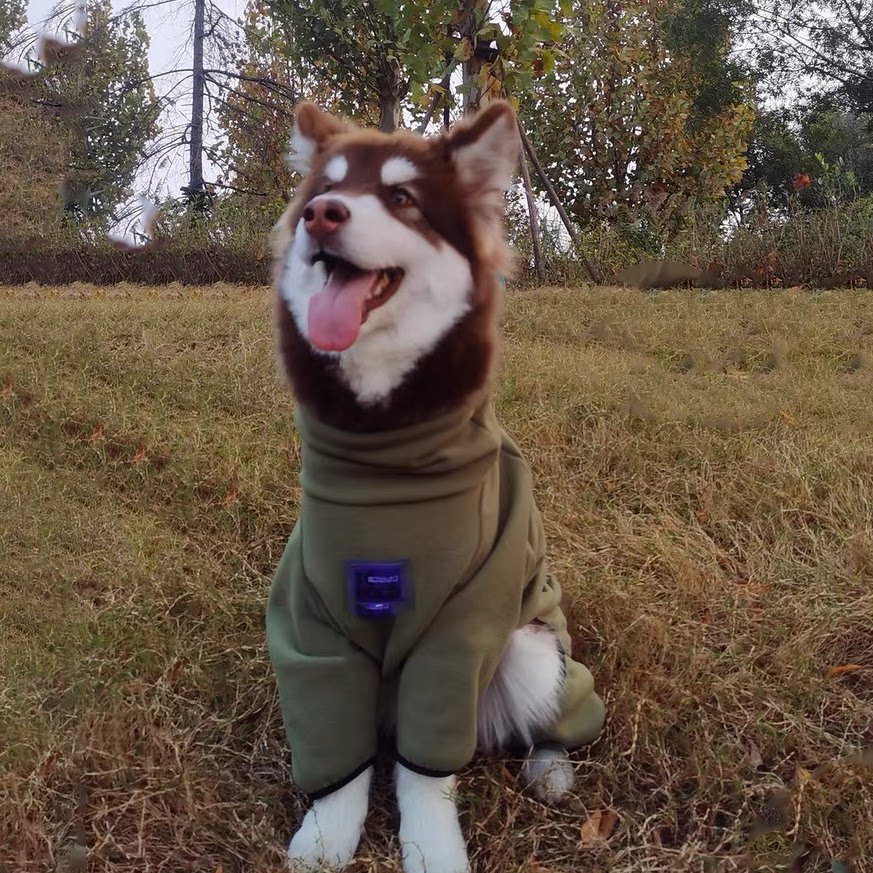 大狗衣服冬季金毛冬装柴犬秋冬萨摩耶边牧秋冬保暖中型大型犬冬天