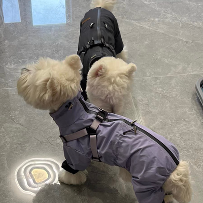 新款洋气小狗帅气可牵引狗狗超萌宠物专用户外防风外出衣服冲锋衣