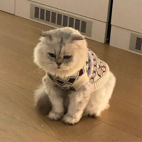 秋冬复古英伦风菱格纹宠物狗狗毛衣冬季保暖ins可爱猫咪衣服冬装
