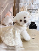 黑白小香风新款 棉裙小奶狗狗小体泰迪幼犬马尔济斯秋冬款 网红衣服