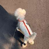 防寒保暖中小型犬四脚帅气防风加绒户外服专用秋冬厚款 外出小狗