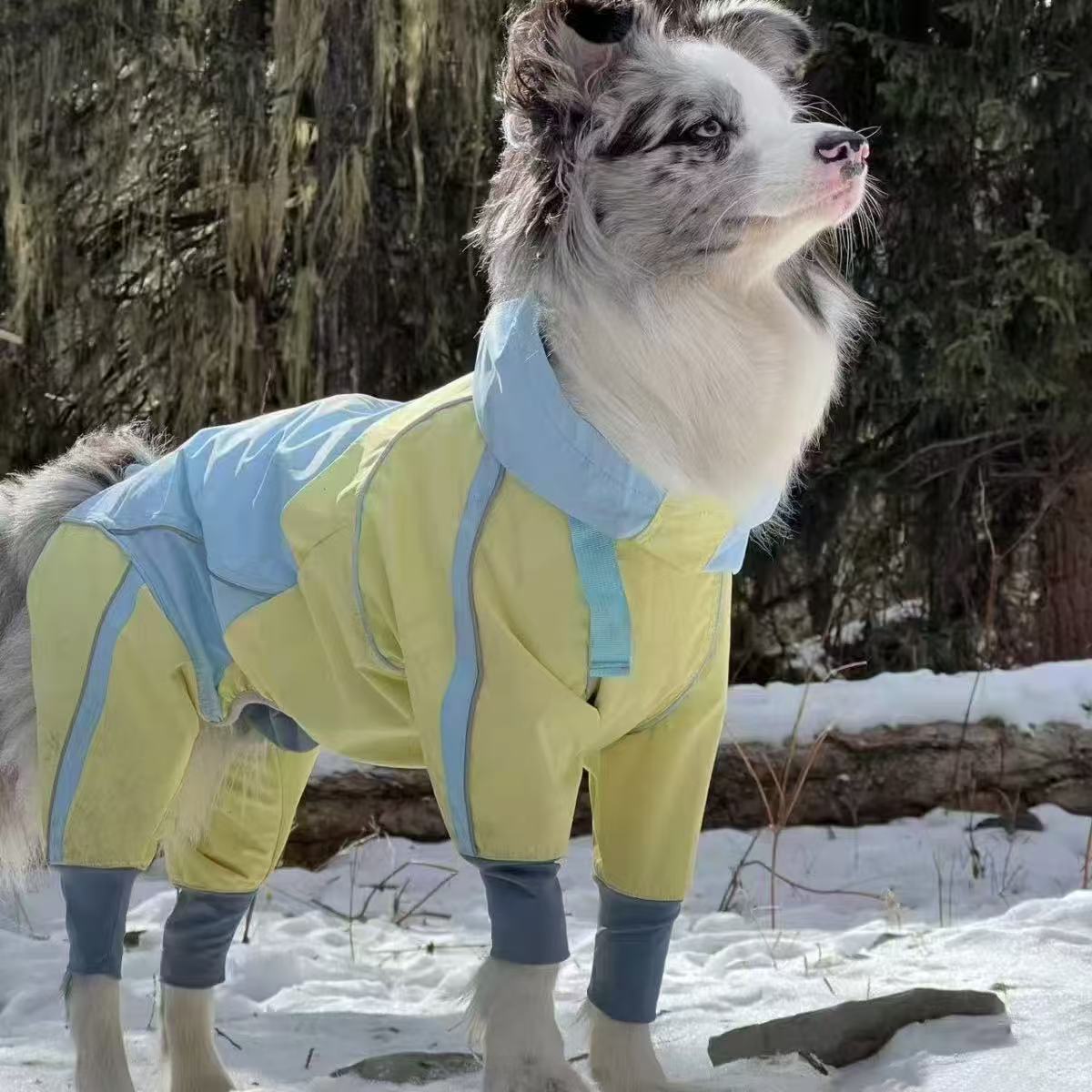 狗狗中大型犬秋冬新款衣服防风保暖边牧萨摩耶宠物冲锋衣户外四脚