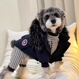 秋冬狗狗衣服防寒保暖可爱雪纳瑞比熊柴犬约克夏马尔济斯毛领棉衣