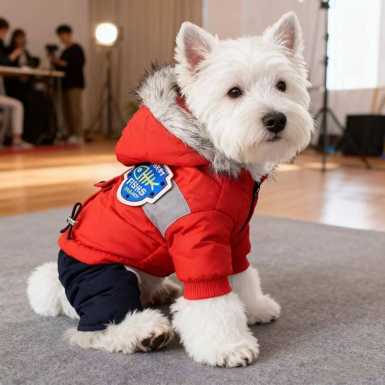 狗狗衣服秋冬款加绒狗狗四脚衣冬季保暖秋冬天小狗泰迪超萌棉服,宠物/宠物食品及用品,狗宠物服装/雨衣,淘宝优惠券,粉丝福利购,淘宝优惠卷