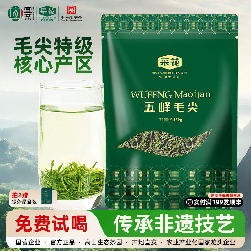 2026年新茶采花绿茶五峰毛尖雨前高山云雾栗香茶叶自饮口粮茶