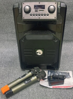 小浪DT20户外拉杆广场舞音响便携箱式重低音大功率无线蓝牙k歌音