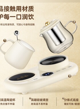 双杯养生壶办公室小型炖