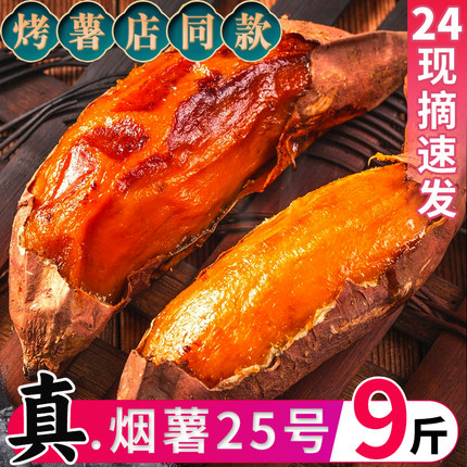 烟薯25号红薯新鲜山东糖心蜜薯9斤烤地瓜沙地当季甜番薯农科院邮