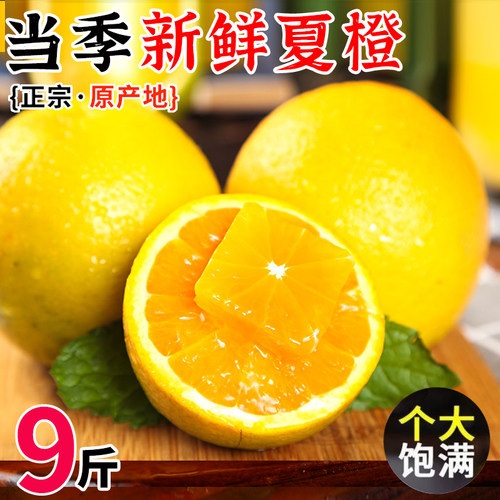 正宗广西夏橙9斤装新鲜整箱包邮