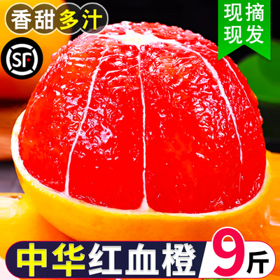 正宗红心血橙当季整箱雪橙大果冰
