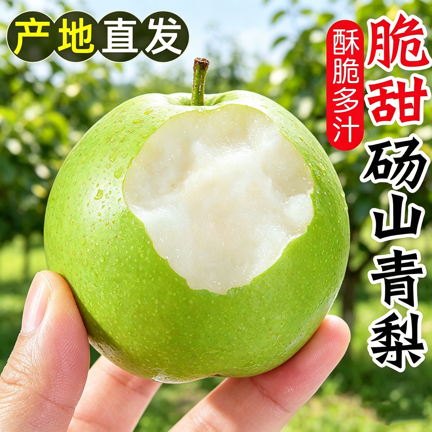 正宗砀山翠冠梨2026当季酥脆