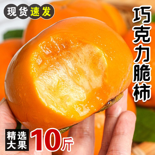 巧克力脆柿子甜脆硬柿子水果包邮