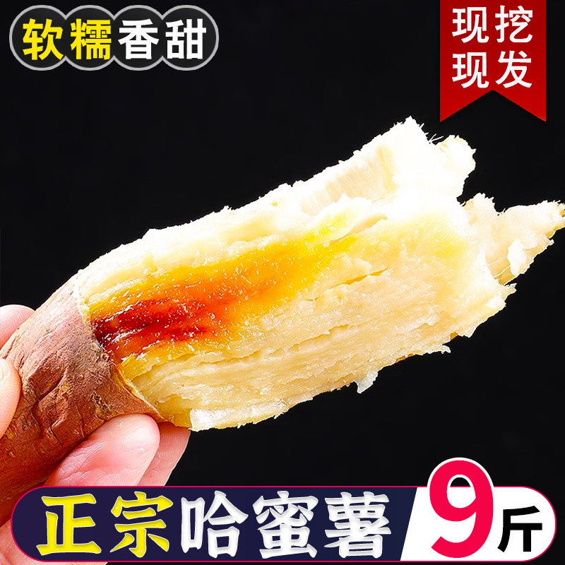 山东哈密牛奶冰糖心蜜薯