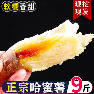 山东哈密牛奶冰糖心蜜薯冰激凌蜜薯哈密溏心红薯农家自种白心红薯