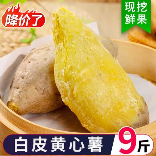 正宗广东潮汕现挖白皮黄心番薯