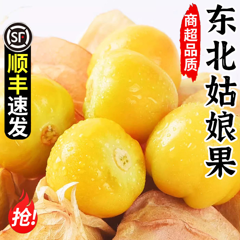 东北姑娘果当季新鲜水果现摘整箱