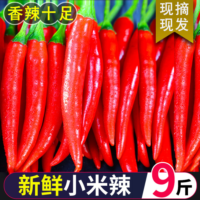 新鲜小米椒厨房食材指天椒新鲜直达特辣爽口红辣椒指天椒新鲜薄皮