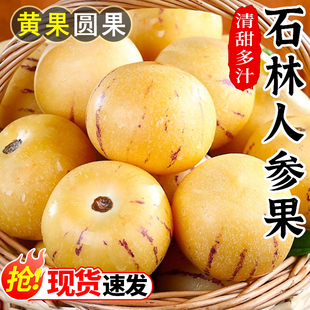 云南石林人参果新鲜人叁果大果9斤七彩黄肉圆果人生果整箱装包邮